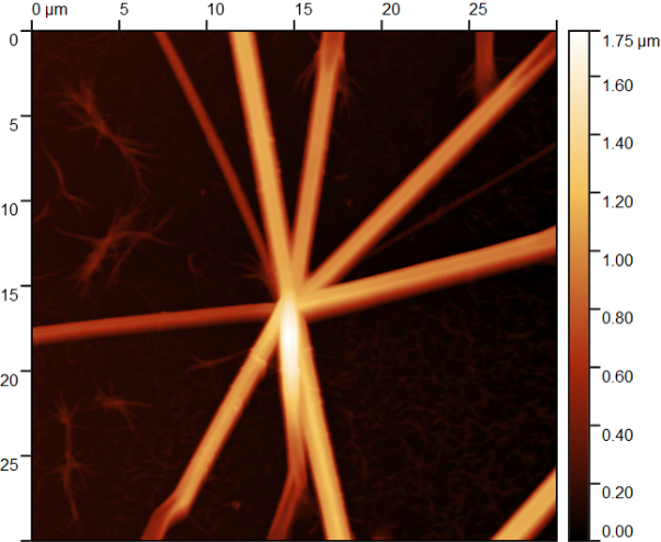 Кристаллы сульфанатного тиакаликсарена на Si, модифицированном PEI-H+. Полуконтактная АСМ.
