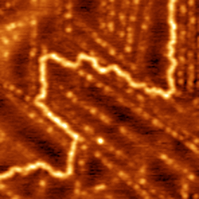 Фрагмент ДНК pUc19 с аномальной локальной изгибностью.