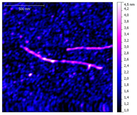Бактериальное ДНК на поверхности золота.