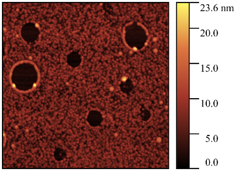 Золь-гель система ZnO/SiO2 + бромид цетилтриметиламмония. Полуконтактный режим АСМ.