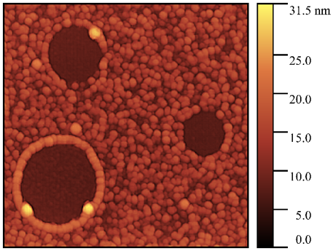 Золь-гель система ZnO/SiO2 + бромид цетилтриметиламмония. Полуконтактный режим АСМ.