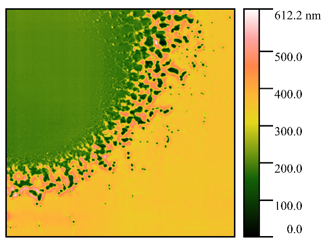 Электропробой пленки полиметилметакрилата на кремнии. Полуконтактный режим АСМ.