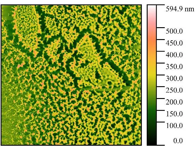 Электропробой пленки полиметилметакрилата на кремнии. Полуконтактный режим АСМ.