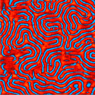 Влияние внешнего вертикального магнитного поля на структуру доменов железо-иттриевого граната.