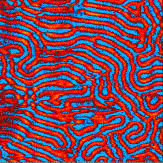 Влияние внешнего вертикального магнитного поля на структуру доменов железо-иттриевого граната. Двухпроходная МСМ.