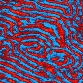 Влияние внешнего вертикального магнитного поля на структуру доменов железо-иттриевого граната. Двухпроходная МСМ.