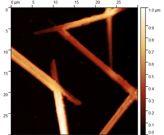 Кристаллы сульфанатного тиакаликсарена на Si, модифицированном PEI-H+. Полуконтактная АСМ.