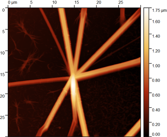 Кристаллы сульфанатного тиакаликсарена на Si, модифицированном PEI-H+. Полуконтактная АСМ.