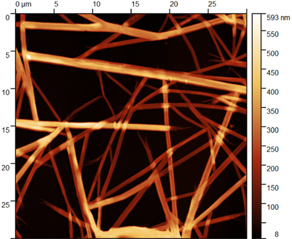 Кристаллы сульфанатного тиакаликсарена на Si, модифицированном PEI-H+. Полуконтактная АСМ.