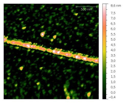 ДНК полимер H52605 на поверхности кремния.