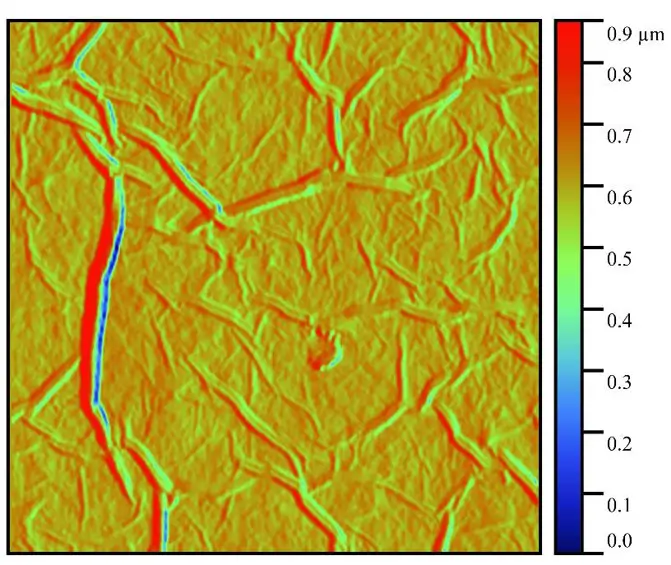 Пленка восстановленного оксида графена (GO). Полуконтактный метод.