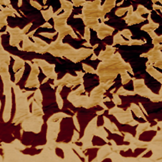 Сигнал фазы