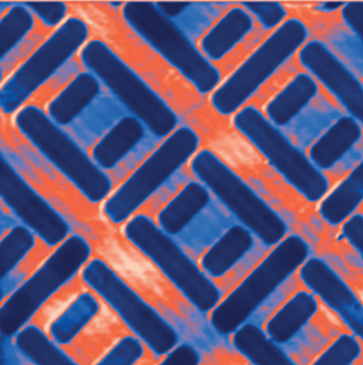 <p>Si микроструктура. Полуконтактная АСМ. Фазовый контраст.</p>