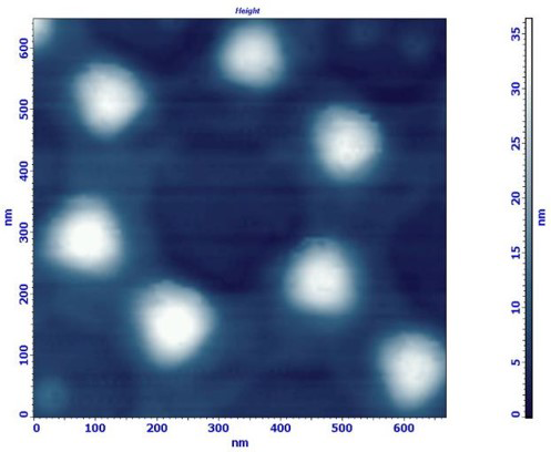 <p>100 нм кобальтовые частицы. Полуконтактная АСМ.</p>