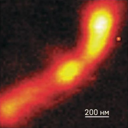 <p>Оптическое конфокальное рамановское изображение пучка нанотрубок,&nbsp;наблюдаемая ширина пучка ~250 нм.</p>