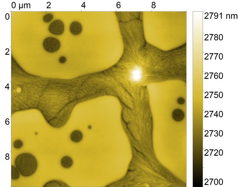 <p>Фторполимер PVDF SPS. Полуконтактная АСМ.</p>
