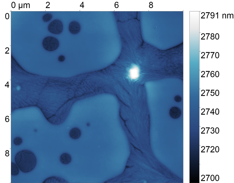<p>Фторполимер PVDF SPS. Полуконтактная АСМ.</p>