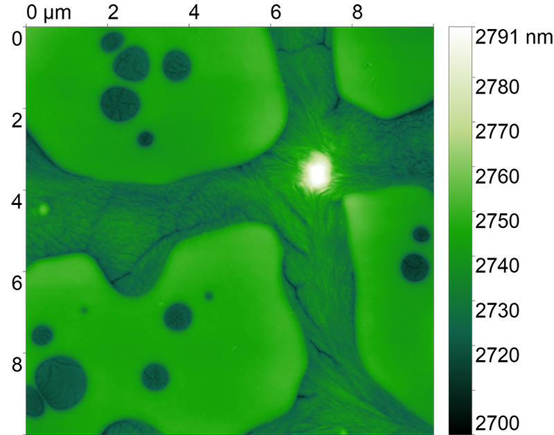 <p>Фторполимер PVDF SPS. Полуконтактная АСМ.</p>