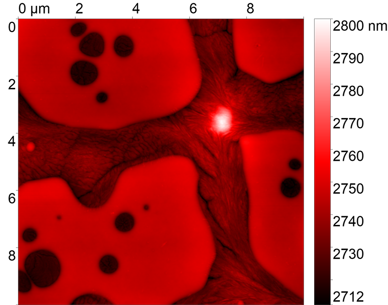 <p>Фторполимер PVDF SPS. Полуконтактная АСМ.</p>