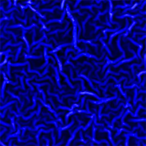 Нити оксида цинка, легированные железом. Полуконтактный метод.