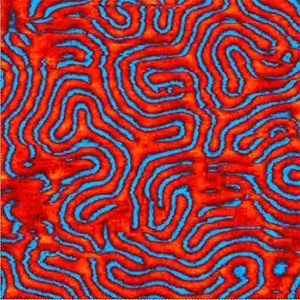 Влияние внешнего вертикального магнитного поля на структуру доменов железо- иттриевого граната. Двухпроходная МСМ.