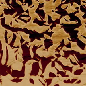 Монокристалл PMN-PT. Вертикальная силовая микроскопия пьезоотклика.