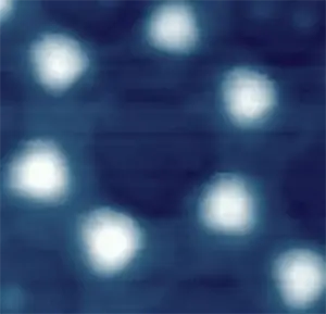 <p>100 нм кобальтовые частицы. Полуконтактная АСМ.</p>