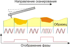 Рисунок 1 — Схематическое изображение реализации метода отображения фазы в полуконтактном режиме